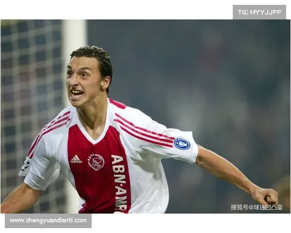 伊布拉希莫维奇：足坛无敌霸主