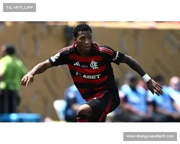 南美俱乐部杯激战正酣 南美洲内强队争锋竞技场